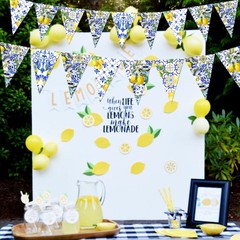 6PCS Amalfi Coast Party Decorations: Capri Lemon Garland Mediterranean Decor,…
