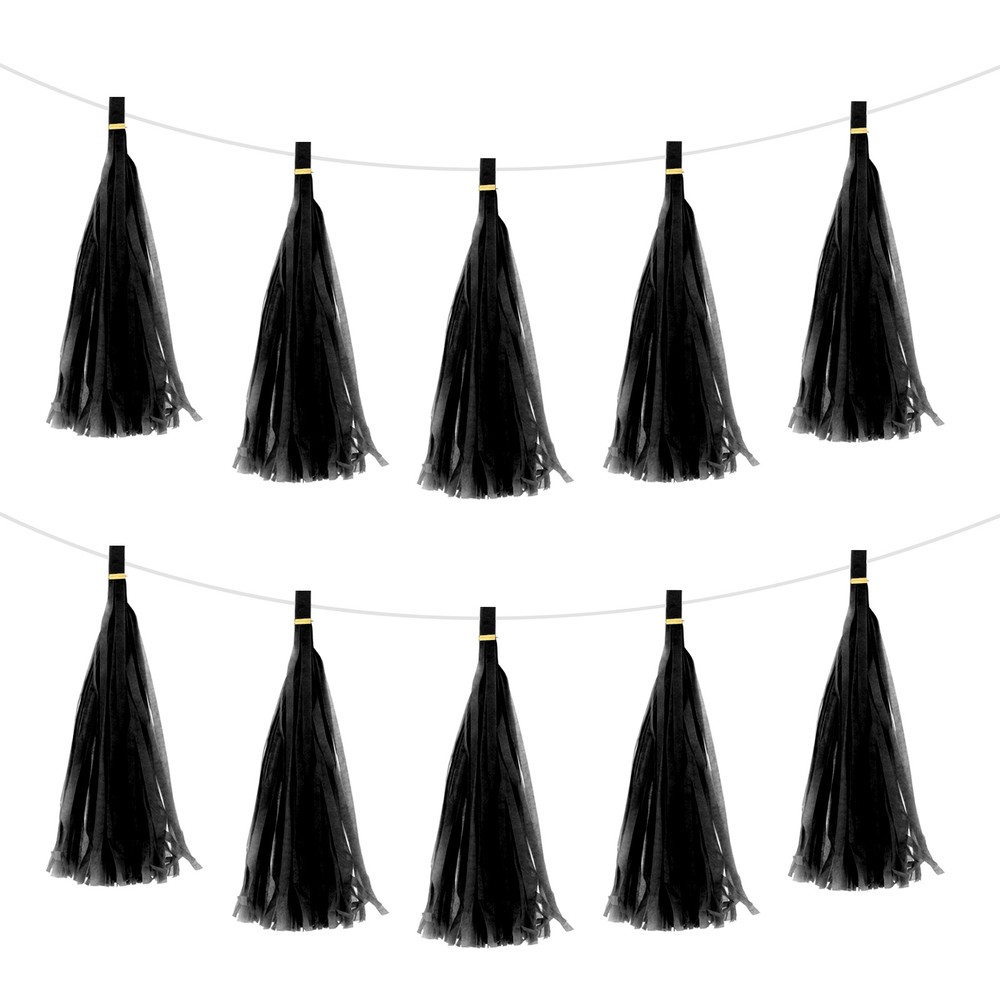 15Pcs Black Tassel Garland Banner with Rope
