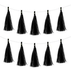 15Pcs Black Tassel Garland Banner with Rope