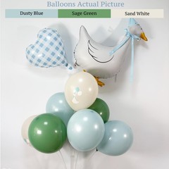 Silly Goose Birthday Decorations for Boys – Blue Balloons, Hats & Bow, 1st Party