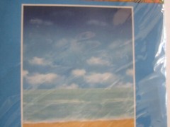 Tropical Blue Ocean W/ Tropical Flowers 42″x72″ Wall/Door Mural Decor Pkg NEW!