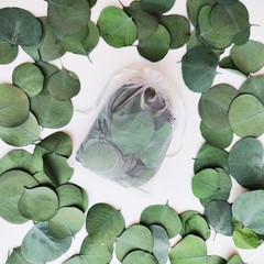 300+ Pcs Dried Real Eucalyptus Leaves,100% Natural Biodegradable Confetti for…