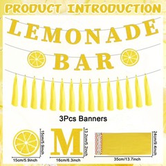Lemonade Stand Party Decorations – 3PCS Lemonade Bar Banner Tassels Supplies …