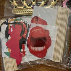 Bulk Opulent Photo Booth Props Set for Adult Novelty Funny Hats Wig Glasses NOB