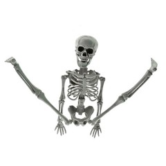 New Poseable Full Party Prop Decoration Human Skeleton Halloween 40cm