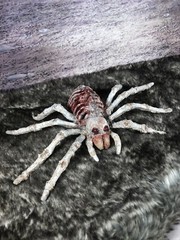 Creepy Horror Doll Skeleton Spider Albino Re Painted Halloween
