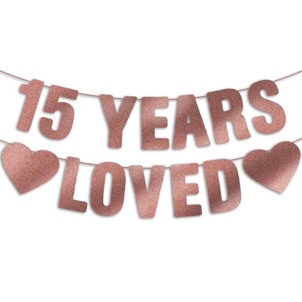15th Birthday Party Decorations for Girls, Pre-Strung 15 YEARS LOVED Banner -…