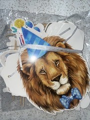 Safari Birthday Decorations, 58PC Wild Jungle Theme Party Supply Animal Balloon