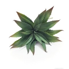Gcrdplat Artificial 11 inches (L) x 11 (W) x 9.8 (H), Green