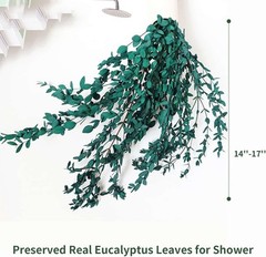 Dried Eucalyptus Leaves Preserved Greenery Stems, 8-14 PCS 2-blue
