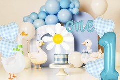 Silly Goose Decorations Walking Silly Goose Balloon Daisy Balloons Boys Baby …
