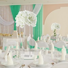 Elegant 20″ Tall Acrylic Wedding Flower Stand Centerpieces with Hydrangeas (6 Pc