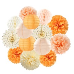 Beige-Orange Peach Fall Party-Decorations -Lanterns- 14pcs Autumn Thanksgivin…