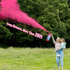Giant Gender Reveal Fire Extinguisher 2 Packs, Gender Reveal Ideas, Baby Girl…