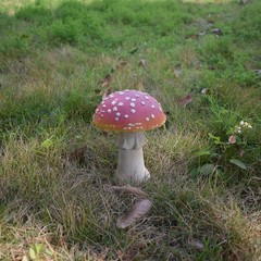 Mushroom Resin Garden Statue Outdoor and Garden Decor Patio Yard (Mushroom 7….
