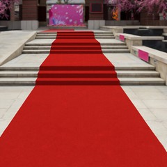 3×33Ft Red Carpet Runner Thickened Non-slip Runway Rug for Weddings Parties US
