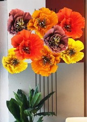 Fall Birthday Party Variety Pack, Burgundy Orange Yellow