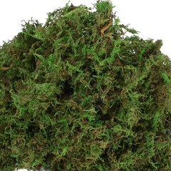 USMOLA Artificial Moss for Indoor Plants, 16OZ 10x7x4 inches, Natural Green