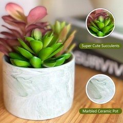 Karlliu Artificial Plants Cute Colourful Succulents in 4×4 inch, Colorful