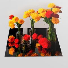 12 PCS Black Square Mirrors, Peel, Stick Backsplash, Acrylic Centerpiece Trays