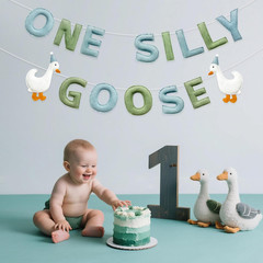 One Silly Goose Birthday Decorations Sage Green Dusty Blue Felt Handmade Pre-Str