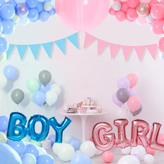 2 Pack Gender Reveal Bunting Blue & Pink Banner for Gender Reveal Party Supplies
