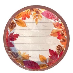 Thanksgiving Dinner Party Supplies 12 Guests Paper Plates Napkins Tablecover