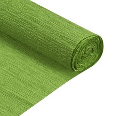 2 Pack Green Crepe Paper Rolls 8 ft Long 20 Inch Wide Hanging Party Backdrop