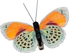 -Artificial Feather 3D Butterfly Party Decorations Set of 12 with Clip 12 Color
