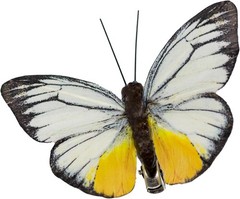 -Artificial Feather 3D Butterfly Party Decorations Set of 12 with Clip 12 Color