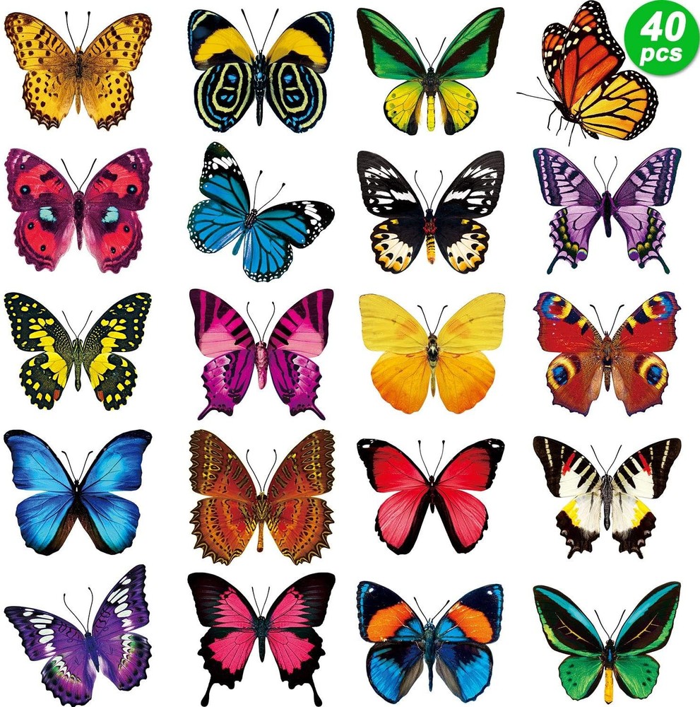 Outus 40 Pieces Butterfly Anti-Collision Window Clings Spring Multicolor
