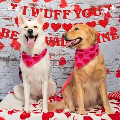Valentines Day Banner Garland, Set of 3 Glitter Valentines Day Decorations Re…