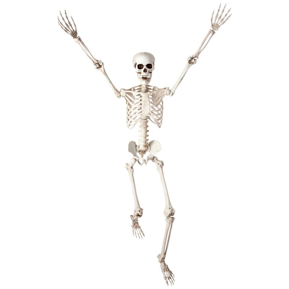 Wicked Costumes – Pose-able Skeleton (150cm) – Party Decoration