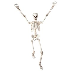 Wicked Costumes – Pose-able Skeleton (150cm) – Party Decoration