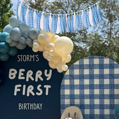Blue and White Gingham Banner/Garland – First Birthday High Chair Banner,Gingham