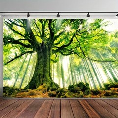 Forest Greenery Scenery Tropical Rainforest Waterfall Backdrop Photo Background