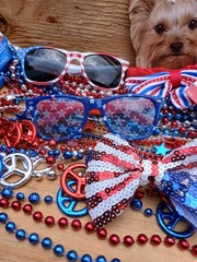 4th of July accessories Lot