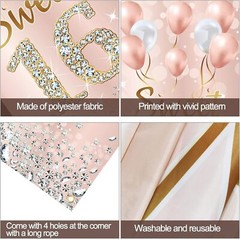 Sweet 16 Birthday Decorations Door Banner for Girls, Pink Rose Gold Happy 16t…