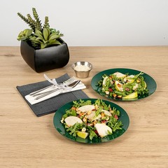 Restaurantware Moderna 9 Inch Premium Disposable Plates 40 Round Plastic Plates