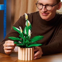 LEGO 11504 Botanicals Peace Lily – Artificial Potted Plants Set for Adults – …