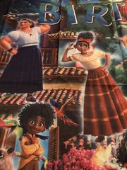 Encanto Magic House Happy B-day Scene DISNEY mural BACKDROP 6.6’x 5.9’ X-large