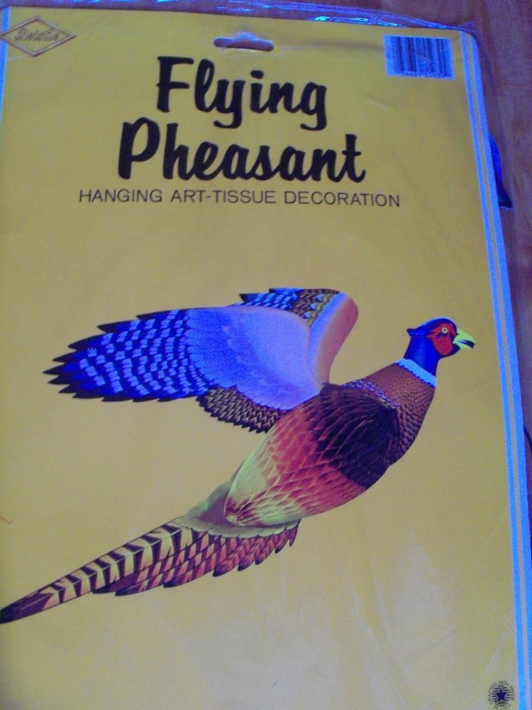 26″ Flying Pheasant Thanksgiving Autumn Honeycomb Decoration 1979 Eureka NOS