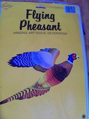 26″ Flying Pheasant Thanksgiving Autumn Honeycomb Decoration 1979 Eureka NOS