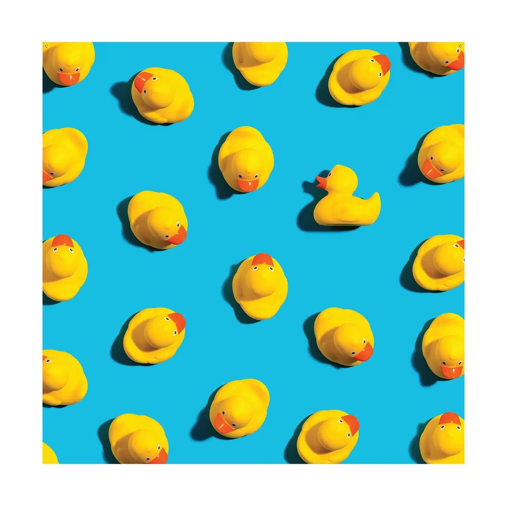 Bright Blue and Yellow Rubber Ducks Photobooth Backdrop, 72″ x 72″