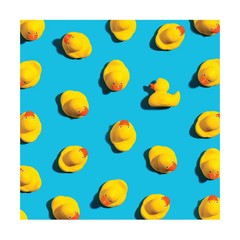 Bright Blue and Yellow Rubber Ducks Photobooth Backdrop, 72″ x 72″