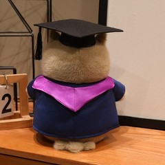 Graduation Owl Plush Toy Stuffed Animal with Cap and Gown for Grad Gift