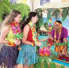 Tropical Plastic Tiki Hut Drink/Food Tabletop Station w/ Palm Leaf Garland #237