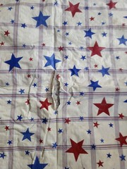 Patriotic Decorations Patriotic Bow, Tinsel Star, Tablecloth, Window Clings…..