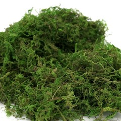 USMOLA Artificial Moss, 16OZ Fake Moss for Crafts Table Centerpieces Fairy Garde