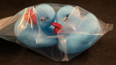 Oh Baby! – Mini Rubber Ducks – 2 Pack – Blue – Approx. 1.77 in x 1.6 in